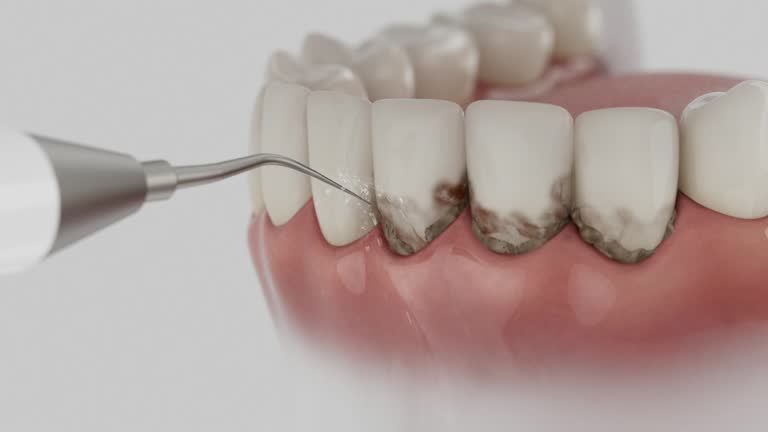Reliable Dental contractor in West Branch, MI by Dentist Open Now